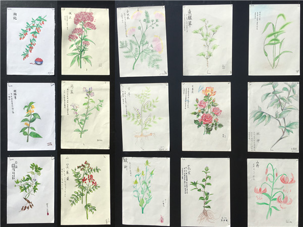 1643076981415655.jpg 中医药文化进校园之学生成果.jpg