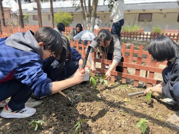1710988504612910.jpg lQDPJx0L4H581rnNA27NBJKwaXP4_DrrASkF6UahU75mAQ_1170_878_副本.jpg
