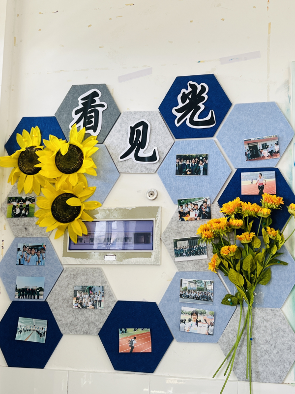 1733279616518632.png 图片6_副本.png