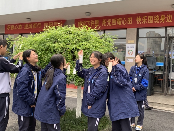 1743058924548426.jpg 6_副本.jpg