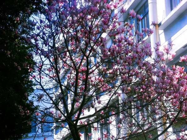 1744274268424470.jpg 44f6d3f02d74439f9bd3ae2eaf007f38_副本.jpg